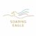 Soaring Eagle International