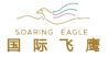Soaring Eagle International